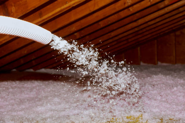 Best Blown-in Insulation  in Springfield, VA