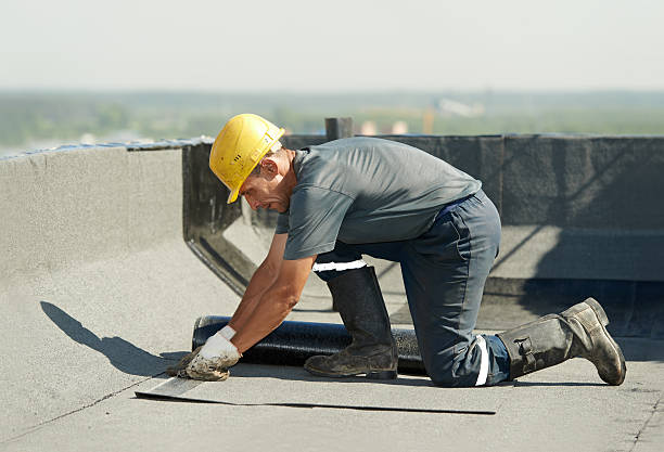 Best Insulation Contractor Near Me  in Springfield, VA
